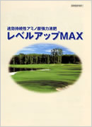 レベルアップMAX レベルアップMAX