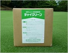 チャイグリーン チャイグリーン
